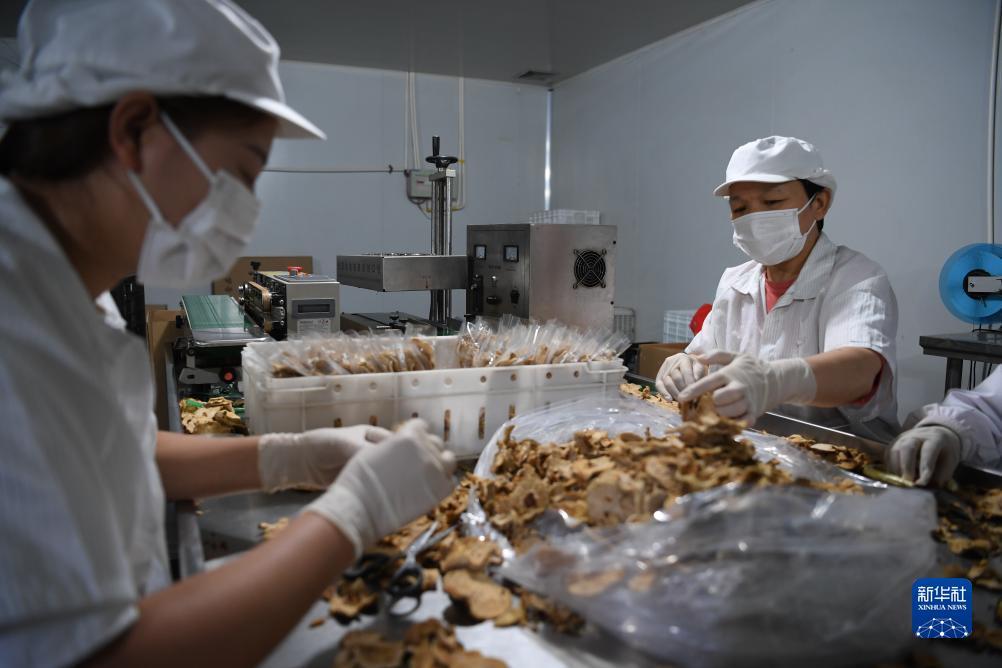 中国赌城网站